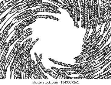 Graphic malt circular design. Vintage vector card with cereals drawn in engraving technique. Coloring book page