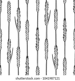 Graphic malt seamless pattern. Vector design with cereals drawn in engraving technique. Coloring book page