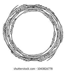 Graphic malt wreath isolated on white background. Vintage vector design with cereals drawn in engraving technique. Coloring book page
