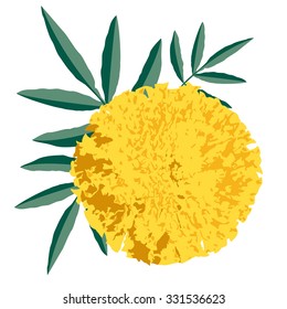 Graphic of a marigold flower