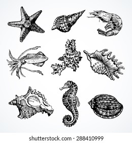 Graphic Marine set. Vector illustration. Illustration for greeting cards, invitations, and other printing and web projects.