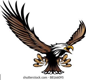 Hawk Talon Photos and Images | Shutterstock