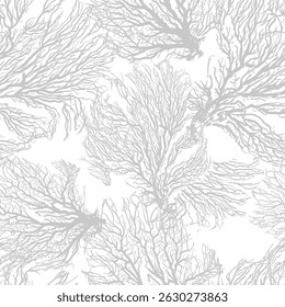 Graphic monochrome corals . hand drawing. Not AI, Vector illustration.