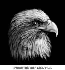 Graphic, monochrome portrait of a  eagle on a black background.