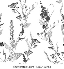 Graphic monochrome seamless pattern with wildflowers flowers, pods, leaves and inflorescences. Elements of plants, their contours and silhouettes are arranged randomly. Vector image on a white 