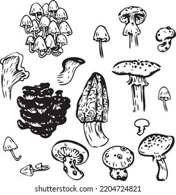 Conjunto monocromo gráfico de varios tipos de hongos. Imagen vectorial para invitaciones, reserva de recortes, papel de embalaje