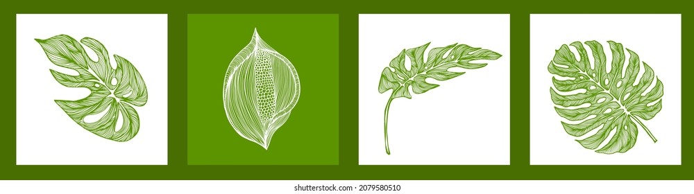 Graphic monstera leaf. Beautiful hand drawn exotic plants. logo with butterflies and exotic leaf . Vector illustration