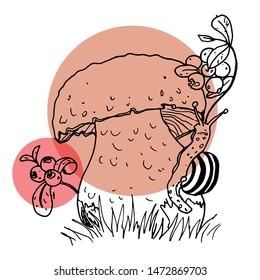 Graphic mushrooms on colored bright circles. Vector illustration for your design.
