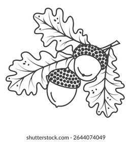 Graphic oak branсh with acorns and leaves. Linear art botanical design for printing on fabric and paper. Black outline on white background. Vector natural object for use in card, banner,pattern.