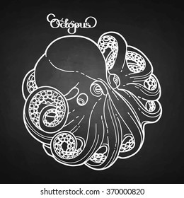 Graphic octopus drawn in a line art style. Sea and ocean creature in a circular shape isolated on chalkboard. 