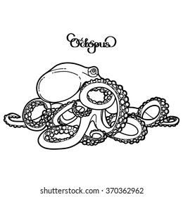 Graphic octopus drawn in a line art style. Sea and ocean creature isolated on white background. Coloring book page design for adults and kids