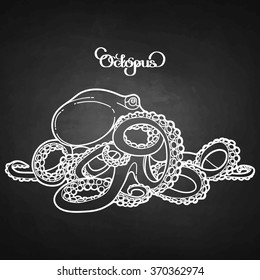 Graphic octopus drawn in a line art style. Sea and ocean creature isolated on chalkboard. 