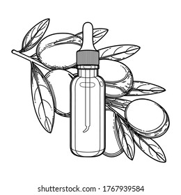 Graphic oil bottle decorated with argan branch. Vector botanical design isolated on white background