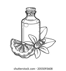 Graphic oil bottle surrounded by bergamot fruits, leaves and flower. Vector botanical design isolated on white background
