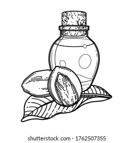 Graphic oil bottles surrounded by shea plants. Vector botanical design isolated on white background