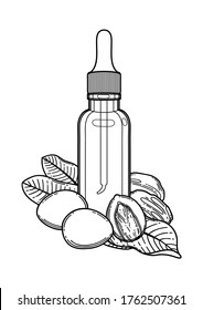 Graphic oil bottles surrounded by shea plants. Vector botanical design isolated on white background
