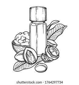 Graphic oil bottles surrounded by shea plants and butter in the wooden dish. Vector botanical design isolated on white background