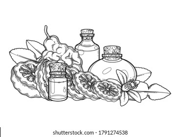 Graphic oil bottles surrounded by bergamot fruits, leaves and flower. Vector botanical design isolated on white background