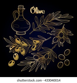 Graphic olive collection. Vector design in golden colors