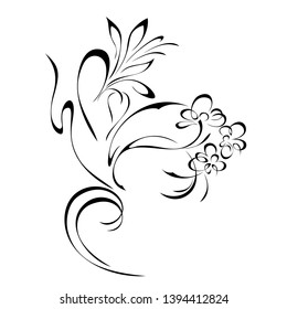 graphic ornament of stylized small flowers, leaves and curls in black lines on a white background