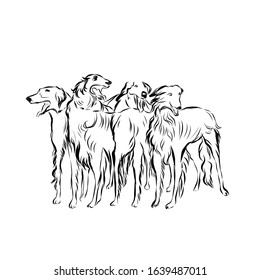 Graphic pack of dogs, line art, animal