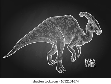 Graphic parasaurolophus. Vector dinosaur isolated on the chalkboard. Animal of the prehistoric period in engraving technique