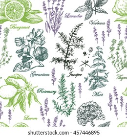 Graphic pattern with aromatic plants. Hand drawing. Seamless for fabric design, gift wrapping paper and printing and web projects.