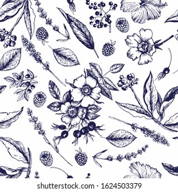 Graphic pattern with botanical sketches. Flowers, buds, fruits, leaves, branches. Vector illustration. Manual graphics. Seamless pattern for decorating various surfaces.