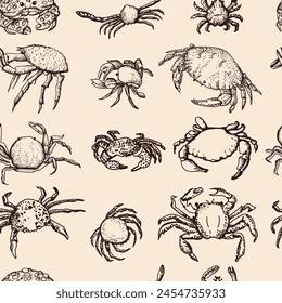 Graphic pattern with crabs. Different types of crabs. Sea food, delicacy. Vector hand drawn illustration. Seamless pattern for decorating different surfaces.