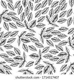 Graphic pattern with leaves. Vector illustration. Manual graphics. Suitable for decorating various surfaces.