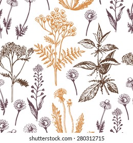 Graphic pattern with medicinal herbs.  Hand drawing. Seamless for fabric design, gift wrapping paper and printing and web projects.