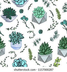 Graphic pattern with succulents in vases