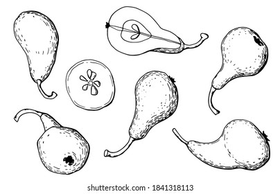 Graphic pears set. Whole fruits and halves. Line art. White background, isolate. Stock illustration.