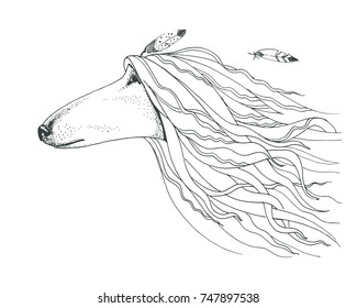 Graphic pen dot illustration. Animal's head. Vector dog's head with feather.