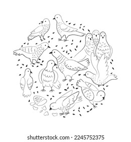 Graphic pigeons on white. Doodle birds eating seeds outside. Funny modern design. Round composition. Template for T-shirt. Isolated doves flock.