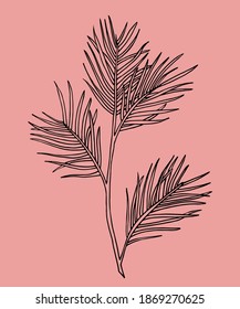 Rama gráfica de pino sobre fondo rosa