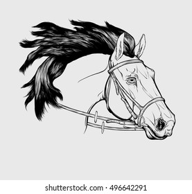 Graphic Portrait Friesian Horse Bridle Snaffle Stock Vector (Royalty ...