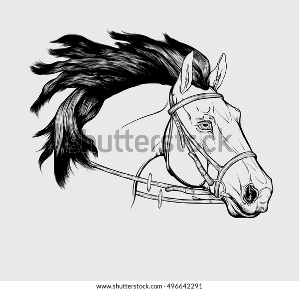 Graphic Portrait Friesian Horse Bridle Snaffle Stock Vector (Royalty ...