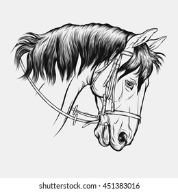 Graphic portrait of horse in bridle with a snaffle bit. Head of stallion. It can be used as tattoo or emblem for equestrian shop, jumping school.  Vector isolated on a light gray background.