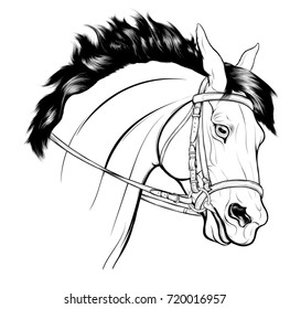 Graphic portrait of a horse in bridle with a snaffle bit and pulled reins. Vector design element for equestrian equipment goods. Head of stallion with ears laid back and mane fluttering on wind. 