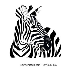 Graphic portrait of a zebra in profile in isolate on a white background. Vector illustration.