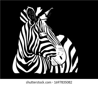 Graphic portrait of a zebra in profile in isolate on a black background. Vector illustration.