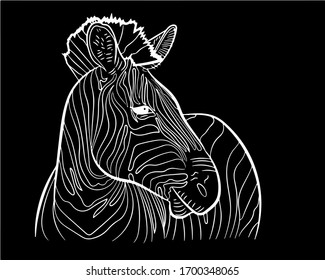 Graphic portrait of a zebra in profile in isolate on a black background. Vector illustration.