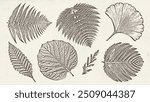 Graphic prehistoric plants drawn on vintage pater in engraving technique. Fossils prehistoric botanicals. Vector illustrations set.