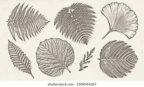 Graphic prehistoric plants drawn on vintage pater in engraving technique. Fossils prehistoric botanicals. Vector illustrations set.