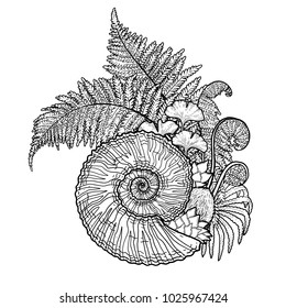 Graphic prehistoric seashell with fern branches growing out from it. Vector natural illustration drawn in engraving technique. Coloring book page design.