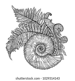 Graphic prehistoric seashell with fern branches growing out from it. Vector natural illustration drawn in engraving technique. Coloring book page design.