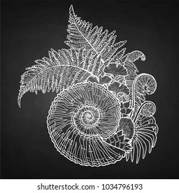 Graphic prehistoric seashell with fern branches growing out from it. Vector natural illustration drawn in engraving technique