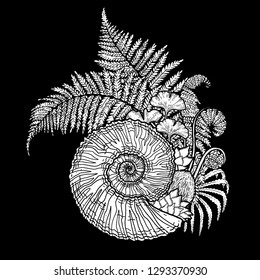 Graphic prehistoric seashell with fern branches growing out from it. Vector natural illustration drawn in engraving technique. Coloring book page design.