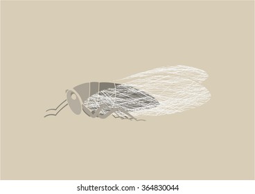 Graphic print of Cicada.